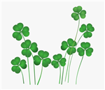 clover